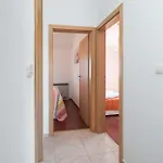 Apartman Terezija By The Sea Privlaka (Zadar)